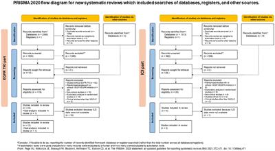The incidence of drug-induced interstitial lung disease caused by epidermal growth factor receptor tyrosine kinase inhibitors or immune checkpoint inhibitors in patients with non-small cell lung cancer in presence and absence of vascular endothelial growth factor inhibitors: a systematic review